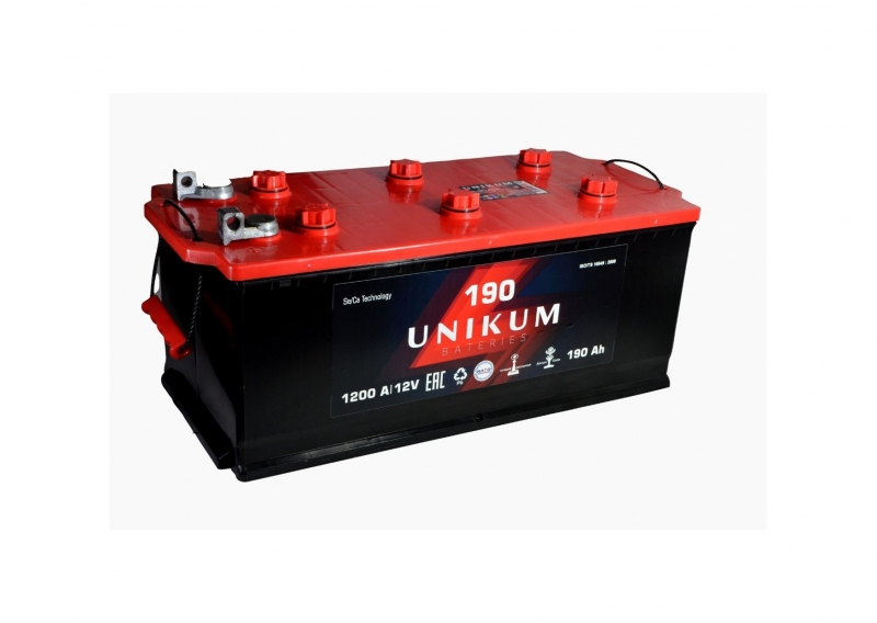6СТ-190 UNIKUM болт о/п аккумулятор1200En д524 ш223 в223    