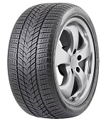 245/45R-20 RoadMarch WinterXPro 999  V103 XL автошина